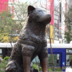 Hachiko